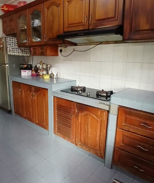 ejen hartanah petaling jaya 2