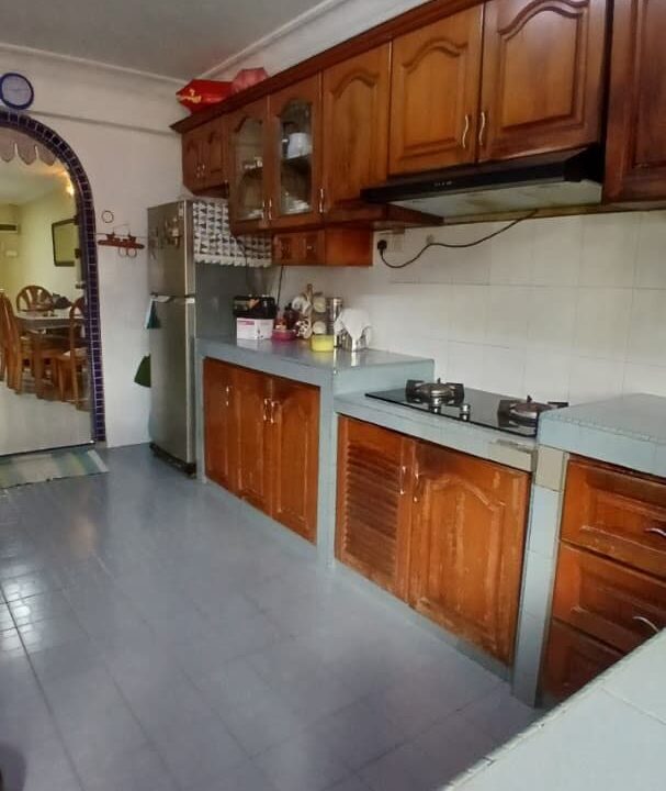 ejen hartanah petaling jaya 4